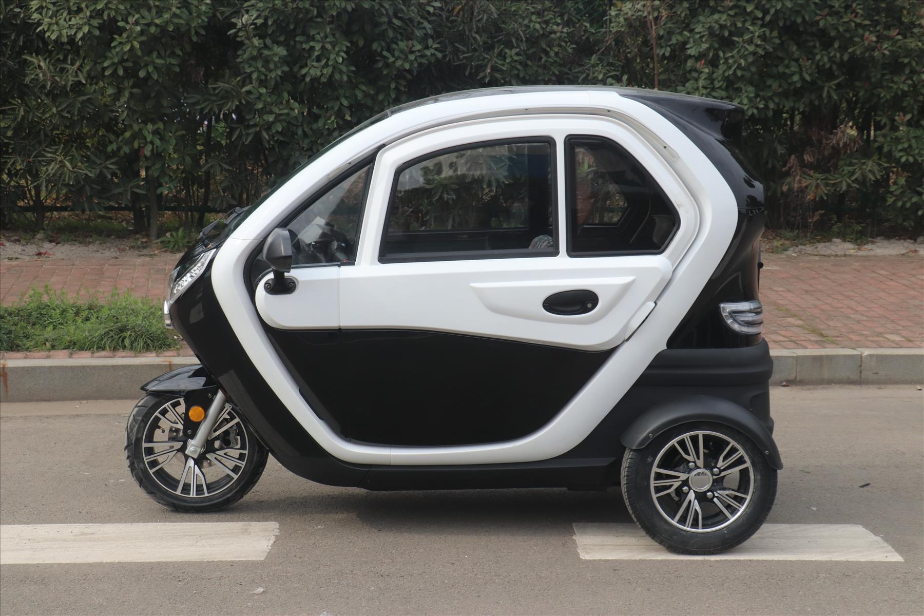 Electric Mobility Vehicle Monster Green Power